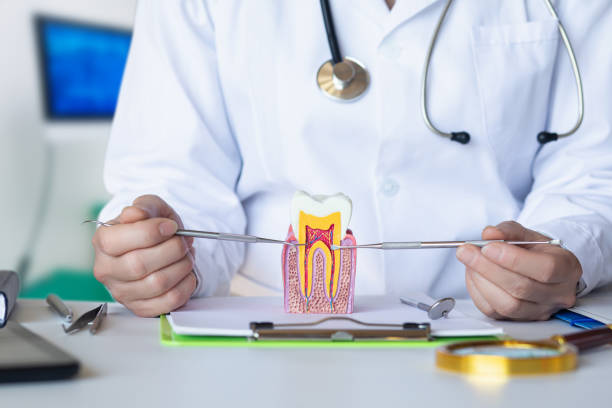 Best Emergency TMJ Treatment in West Athens, CA